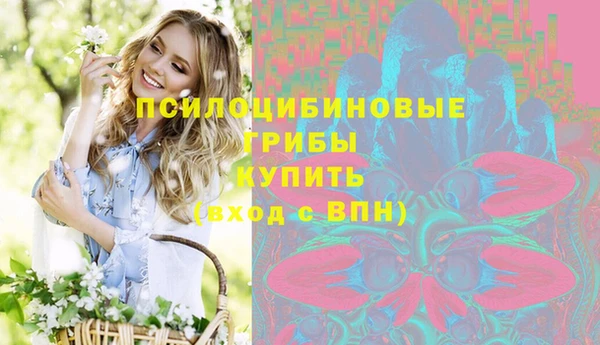 ПСИЛОЦИБИНОВЫЕ ГРИБЫ Бугульма