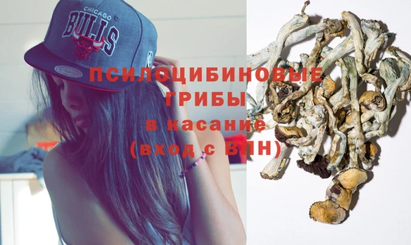 ПСИЛОЦИБИНОВЫЕ ГРИБЫ Бугульма