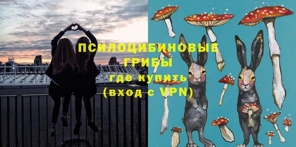 сатива Верхний Тагил
