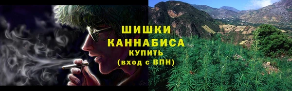 спиды Бородино